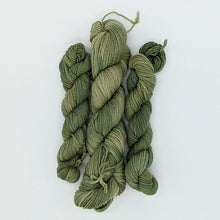 Load image into Gallery viewer, Pier Park Place